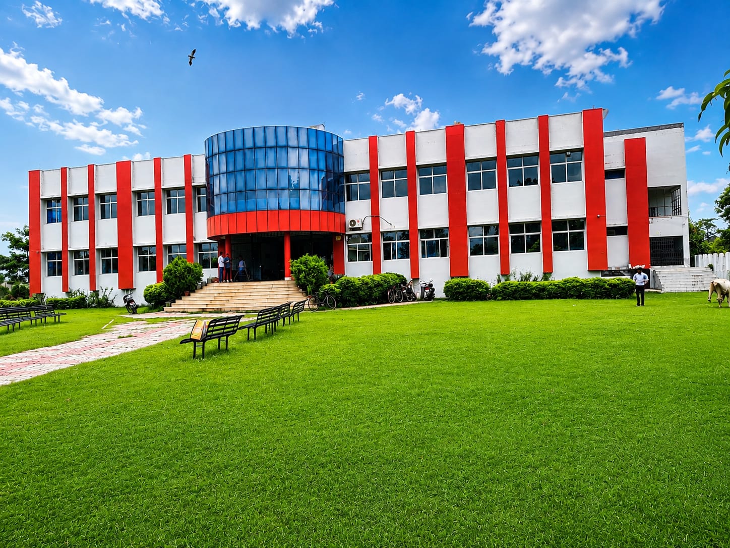 College sports and fitness activities